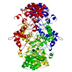 Image of CATH 1zzh