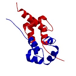 Image of CATH 2a1j