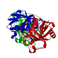 Image of CATH 2a2n