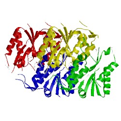 Image of CATH 2amj