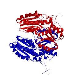 Image of CATH 2aml