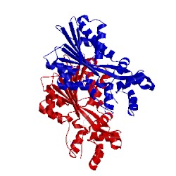 Image of CATH 2aou