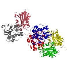 Image of CATH 2ark