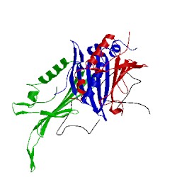 Image of CATH 2b2e