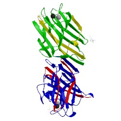 Image of CATH 2b7y