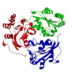 Image of CATH 2bef