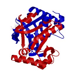 Image of CATH 2bei