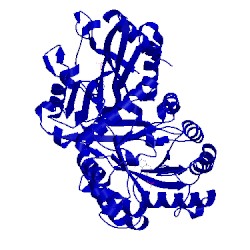 Image of CATH 2bmb