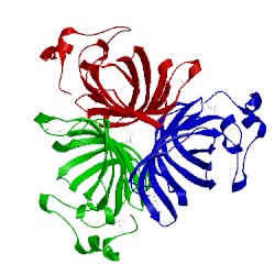 Image of CATH 2brj