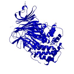 Image of CATH 2brv