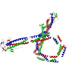 Image of CATH 2bsg