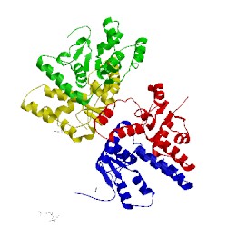 Image of CATH 2bsq