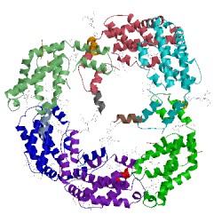 Image of CATH 2bv8