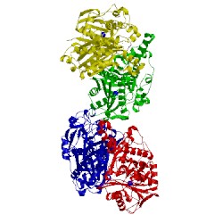 Image of CATH 2byz