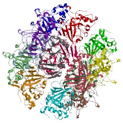 Image of CATH 2cb4