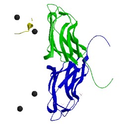 Image of CATH 2ccl