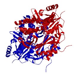 Image of CATH 2cdq