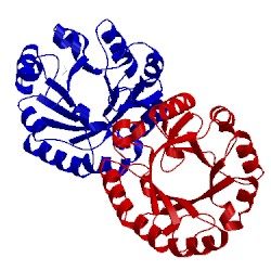 Image of CATH 2cff