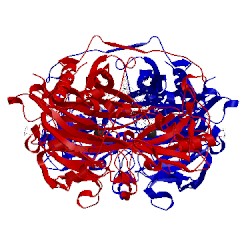 Image of CATH 2cfg