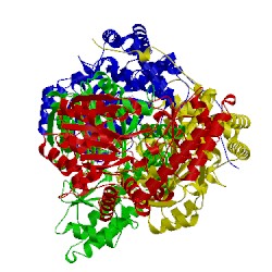 Image of CATH 2ch1