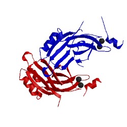 Image of CATH 2cm6