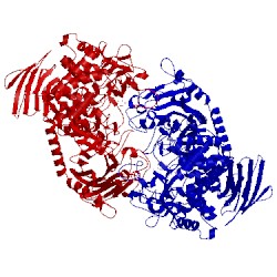 Image of CATH 2cqt