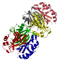 Image of CATH 2csl