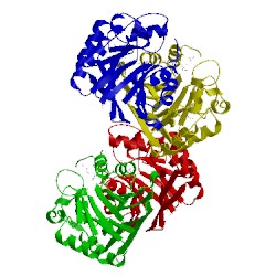 Image of CATH 2cv9