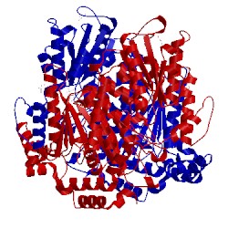 Image of CATH 2cxo