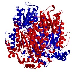 Image of CATH 2cxu