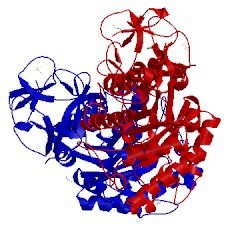 Image of CATH 2d20