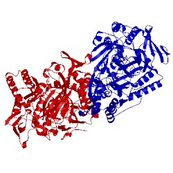 Image of CATH 2d5w