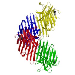 Image of CATH 2d7f