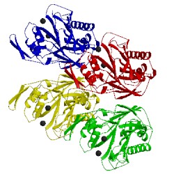 Image of CATH 2ddr