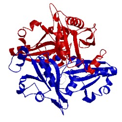 Image of CATH 2dek