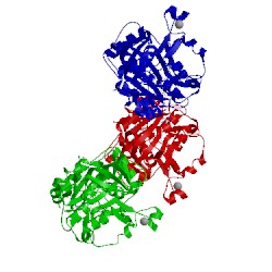 Image of CATH 2dfv