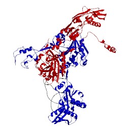 Image of CATH 2du3