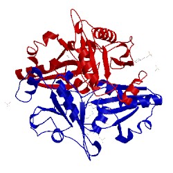 Image of CATH 2e17