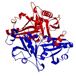 Image of CATH 2e4r