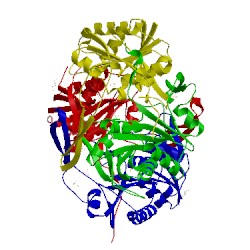 Image of CATH 2e69