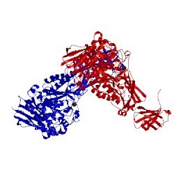 Image of CATH 2e8y