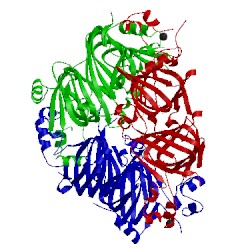 Image of CATH 2eaa