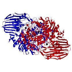 Image of CATH 2eac