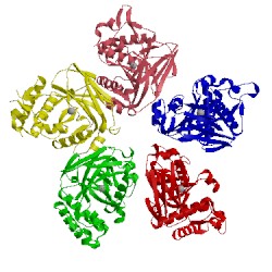 Image of CATH 2eb6