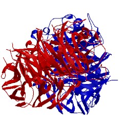 Image of CATH 2ebs