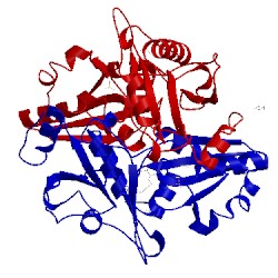 Image of CATH 2eeq