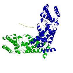 Image of CATH 2efe