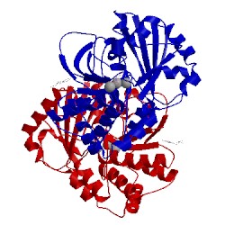 Image of CATH 2enx