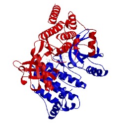 Image of CATH 2etm