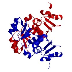 Image of CATH 2etx